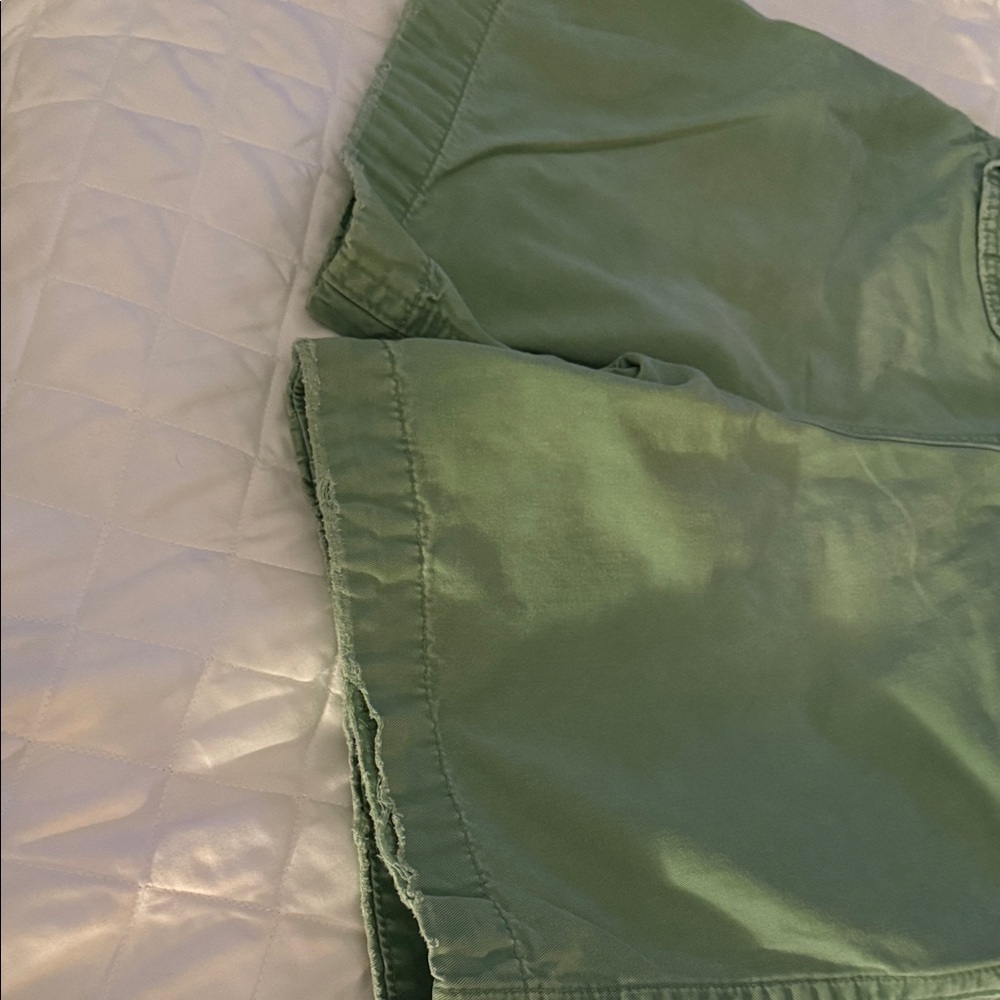 Abercrombie & Fitch Mint Green Men's Flat Front Shorts - Picture 6 of 9